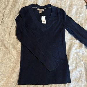 Banana Republic V-Neck Sweater